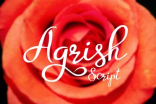 Agrish Typeface: Elevating Brand Identity with Elegant Script Design
