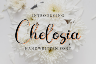 Chelosia Script Font Review for Campaign Design