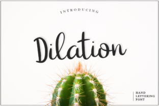 Dilation: A Fresh Script Typeface for Modern Editorial Design