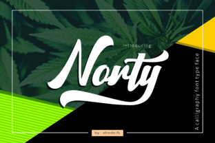 Norty Typeface Review: A Fresh Display Font for Campaign Design